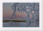 moon on Keimiol_5607 * 800 x 532 * (275KB)